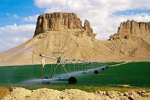 Irrigating the desert.